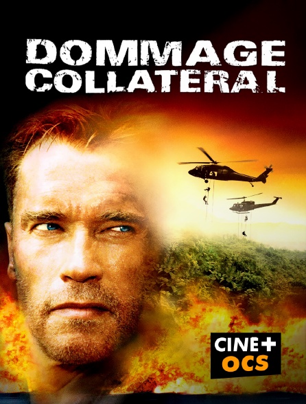 CINÉ Cinéma - Dommage collatéral