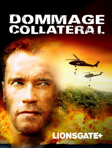 LIONSGATE+ - Dommage collatéral