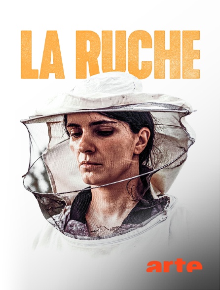 Arte - La ruche