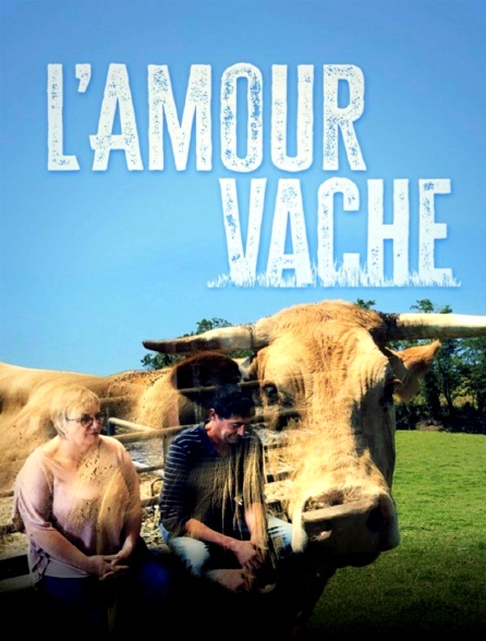 L'amour vache