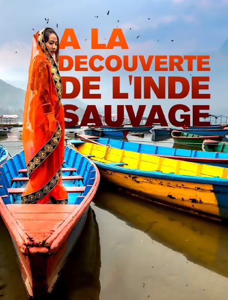 A la découverte de l'Inde sauvage