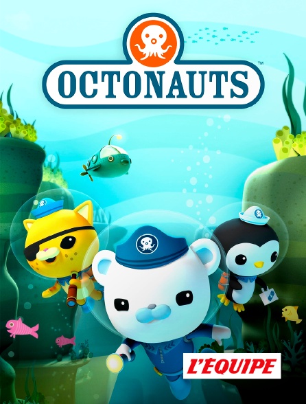 L'Equipe - Les Octonauts