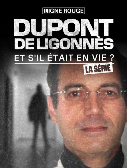 Dupont de Ligonnès, et s'il était en vie ?