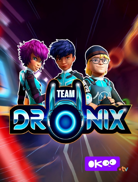 Okoo - Team DroniX