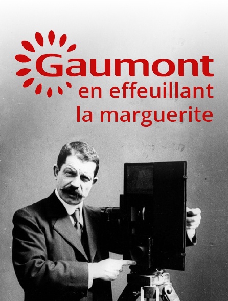 Gaumont, en effeuillant la marguerite