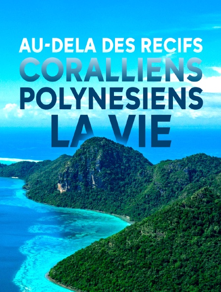 Au-delà des récifs coralliens polynésiens, la vie