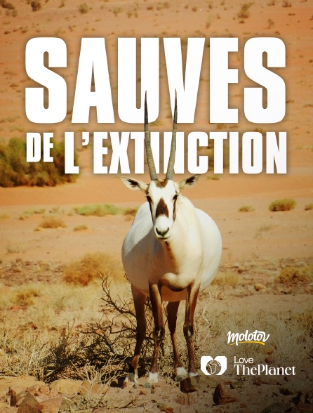 Love the Planet - Sauvés de l'extinction - 18/09/2024 à 19h54