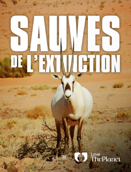 Love the Planet - Sauvés de l'extinction