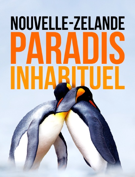 Nouvelle-Zélande : paradis inhabituel