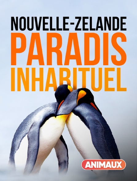 Animaux - Nouvelle-Zélande : paradis inhabituel