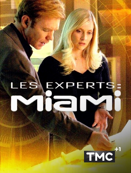 TMC +1 - Les experts : Miami