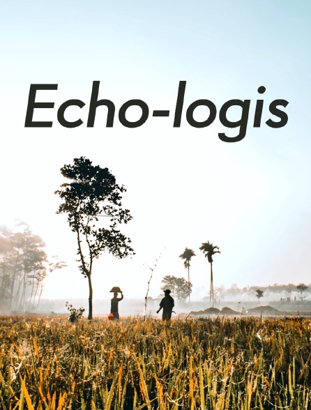 Echo-logis