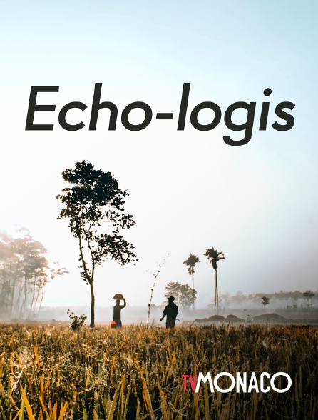 TV Monaco - Echo-logis