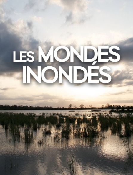 Les mondes inondés