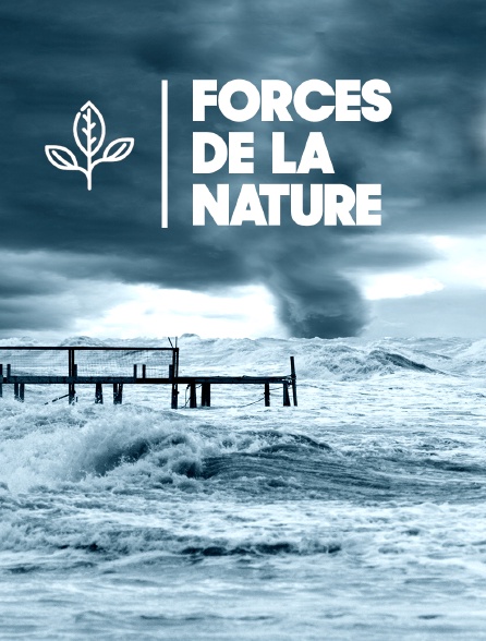 Forces de la nature