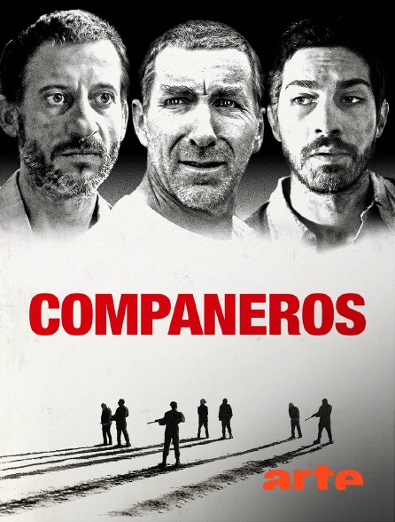 Arte - Compañeros
