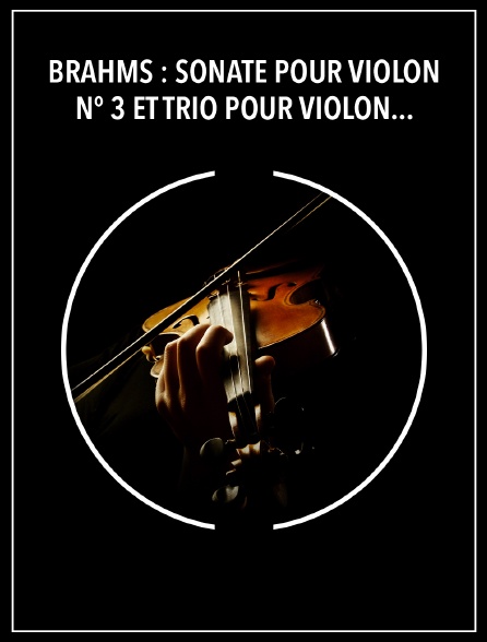 Brahms : Sonate pour violon n° 3 et Trio pour violon, piano et cor - Perlman, Barenboim, Clevenger