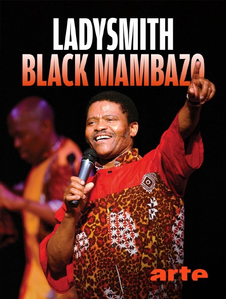 Arte - Ladysmith Black Mambazo : Le son de l'Afrique