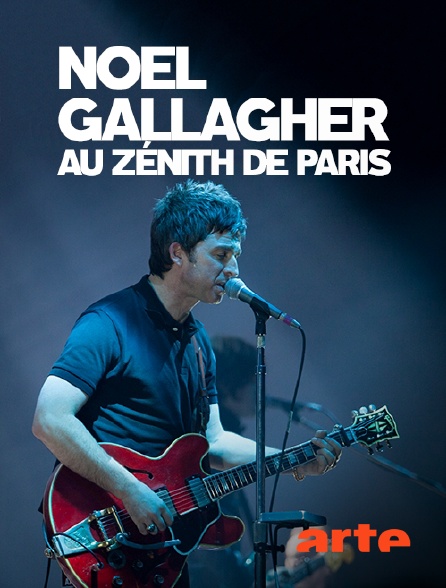 Arte - Noel Gallagher au Zénith de Paris