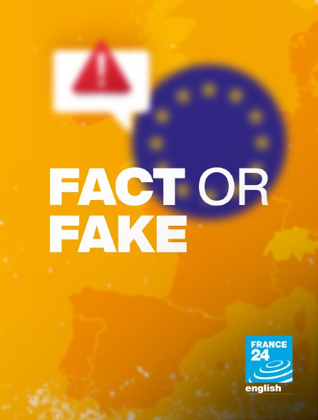 France 24 Anglais - Fact or fake