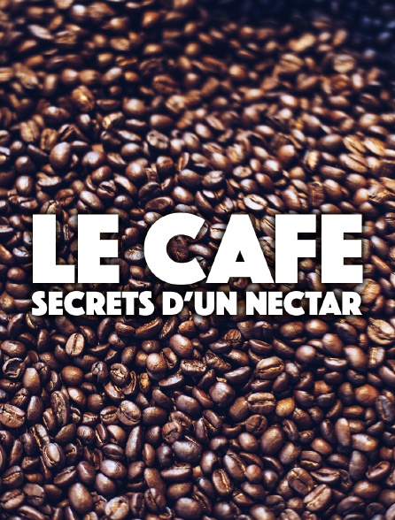 Le café : secrets d'un nectar