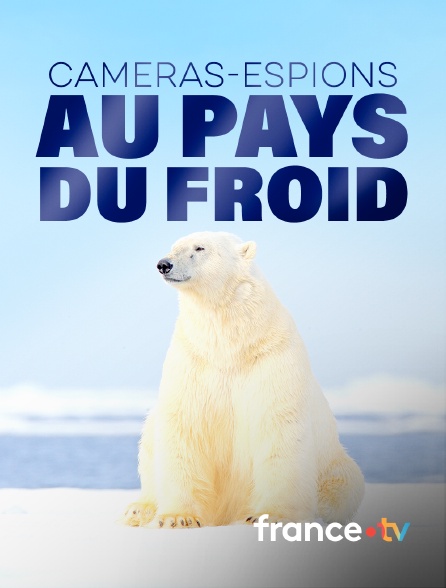 france.tv - Caméras-espions au pays du froid