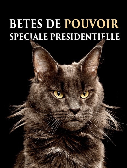 Bêtes de pouvoir : spéciale Présidentielle