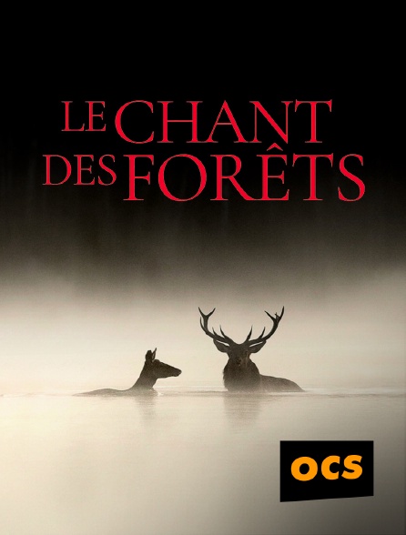 OCS - Le Chant des forêts