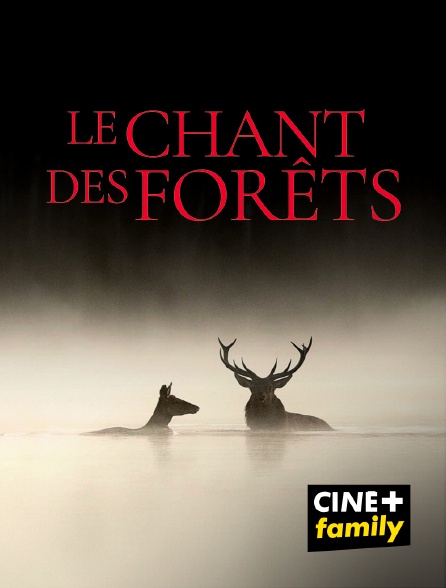 CINE+ Family - Le Chant des forêts
