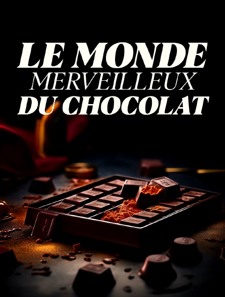 Le monde merveilleux du chocolat
