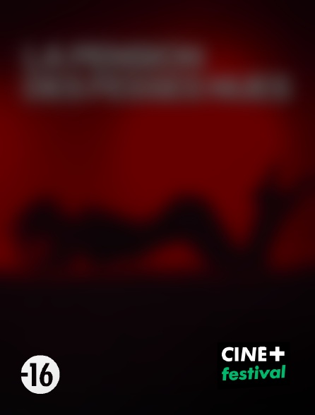 CINE+ Festival - La pension des fesses nues