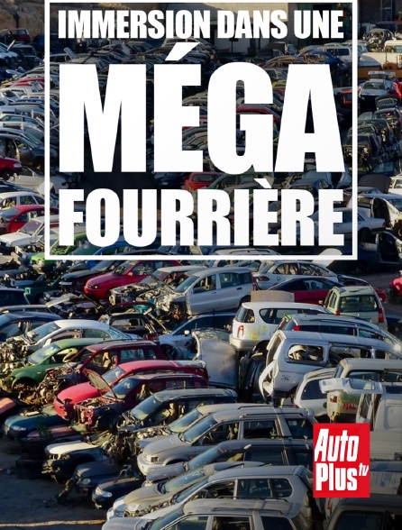 AutoPlus - Immersion dans une méga fourrière