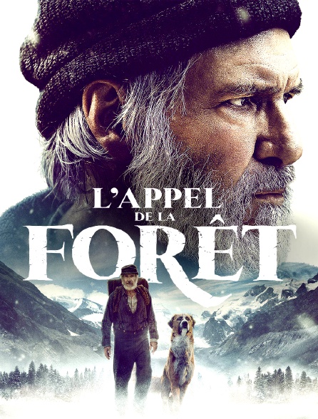 L'Appel de la forêt