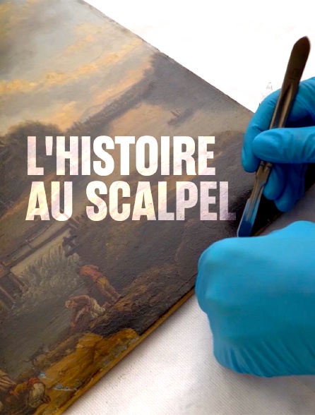 L'histoire au scalpel