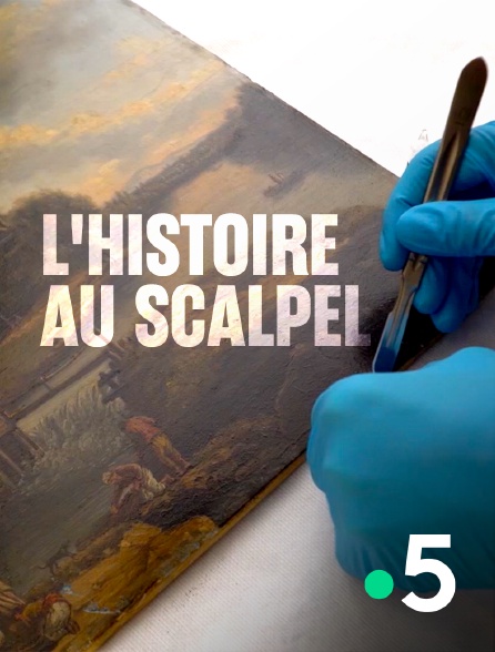 France 5 - L'histoire au scalpel