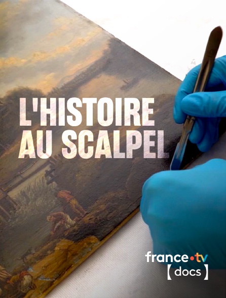 France TV Docs - L'histoire au scalpel