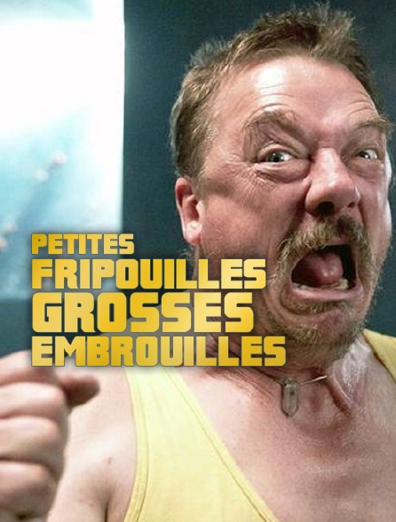 Petites fripouilles, grosses embrouilles