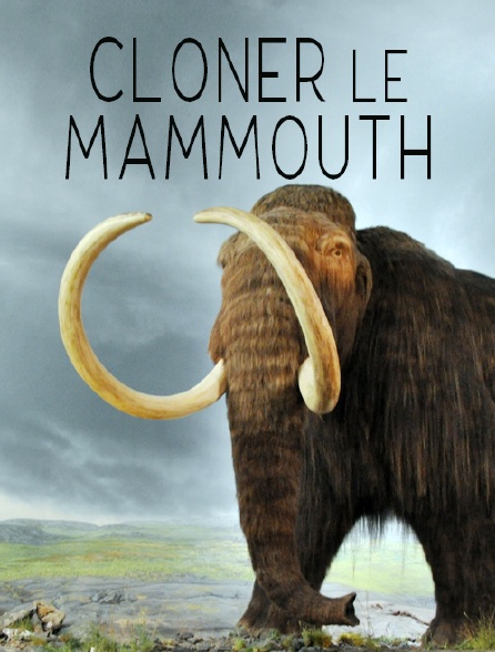Cloner le mammouth
