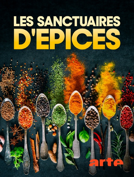 Arte - Les sanctuaires d'épices