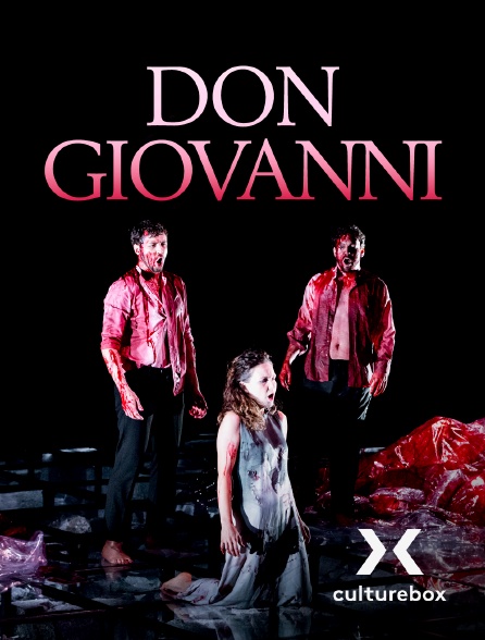 Culturebox - Don Giovanni