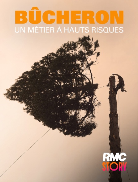RMC Story - Bucheron : un métier à hauts risques
