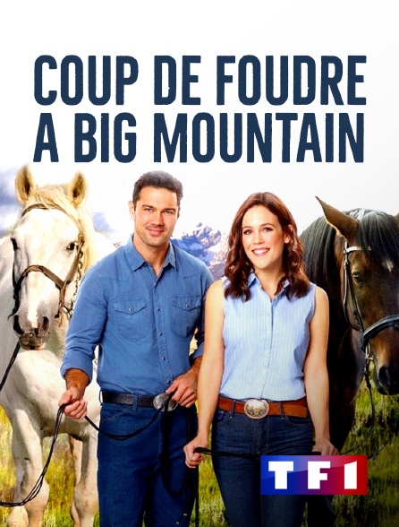 TF1 - Coup de foudre à Big Mountain