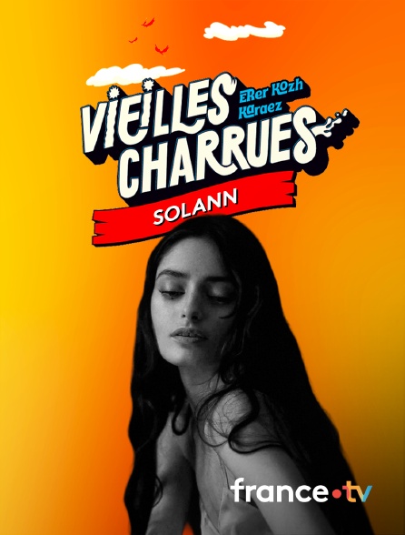 Culturebox - Solann aux Vieilles Charrues