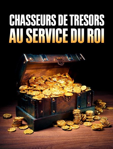 Chasseurs de trésors au service du roi