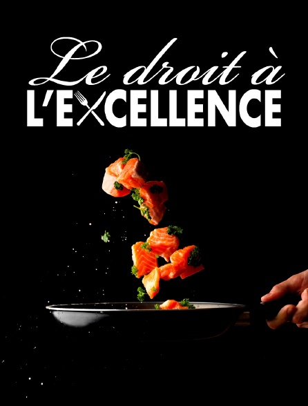 De L Excellence à L Indécence Streaming Le droit à l'excellence en Streaming - Molotov.tv