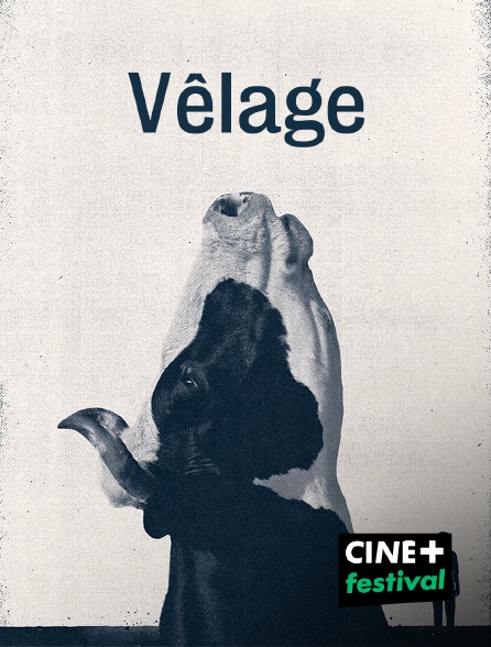 CINE+ Festival - Vêlage