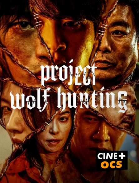 CINÉ Cinéma - Projet Wolf Hunting