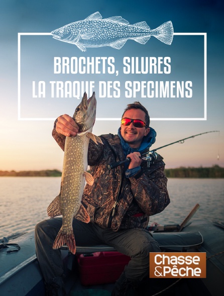 Chasse et pêche - Brochets, silures, la traque des spécimens