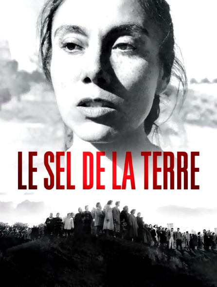 Le sel de la terre