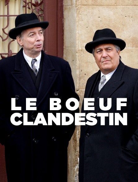 Le boeuf clandestin